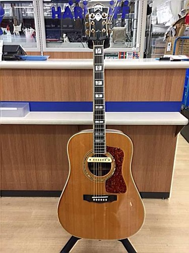 Guild d55 acoustic - guild,