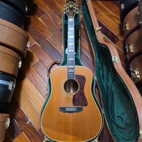 Acoustic guitar guild - guitar,