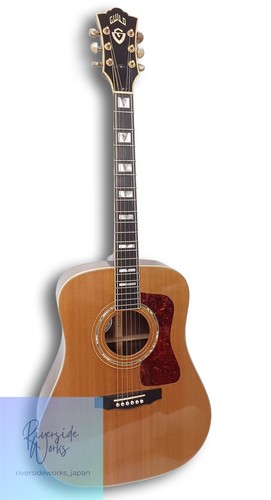 Guild acoustic guitar - guitar, d55